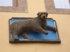 Ein Wolperdinger.JPG