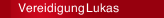 Vereidigung Lukas