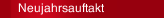 Neujahrsauftakt