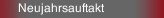 Neujahrsauftakt