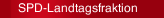 SPD-Landtagsfraktion