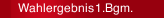 Wahlergebnis 1.Bgm.
