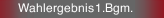 Wahlergebnis 1.Bgm.