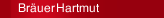 Bräuer Hartmut