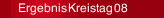 Ergebnis Kreistag 08